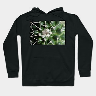 Spikey, Prickly, Ouch !!!! Hoodie